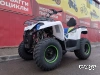 Квадроцикл PROMAX RENEGADE 300