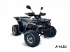 Квадроцикл TAO MOTORS HUNTER 150