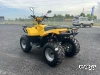 Квадроцикл IRBIS ATV 250